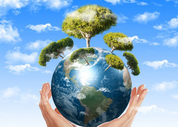 Reorganizamos nuestra estructura para impulsar la sostenibilidad