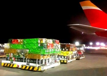 Iberia e IAG Cargo transportan más de 4 millones de rosas por San Jordi