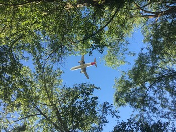 Iberia celebra su 94 cumpleaños presentando su Informe de Sostenibilidad 2020