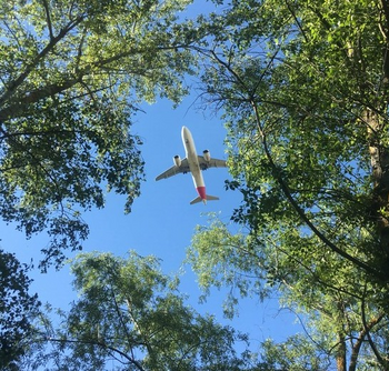 Apoyamos dos proyectos ambientales en América Latina como parte de nuestra estrategia de sostenibilidad