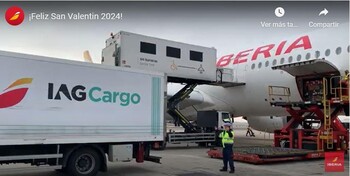 Transportamos 500 toneladas de flores por San Valentín